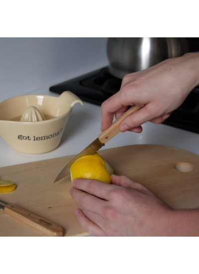 Opinel Fifties 4 Essentials Renkli Mutfak Bıçağı Seti