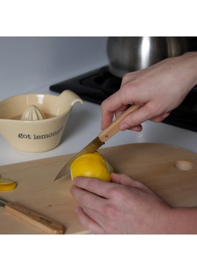 Opinel Natural Essentials Mutfak Bıçağı Seti