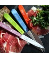 Opinel Sweet-Pop Colours Mutfak Bıçağı Seti