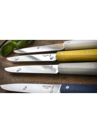 Opinel Bon Appetit Celeste 4 Parça Paslanmaz Sofra Bıçağı Opinel Bon Appetit Celeste 4 Parça Paslanmaz Sofra Bıçağı