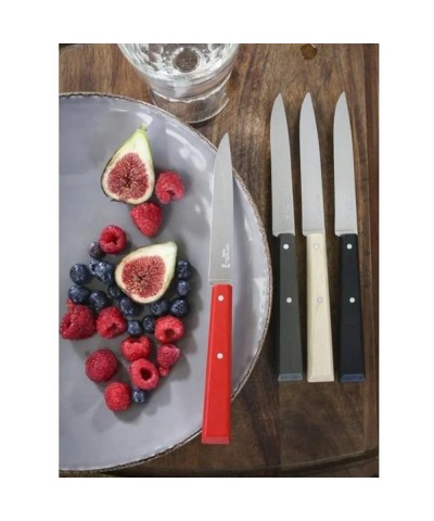 Opinel Bon Appetit Loft 4 Parça Ahşap Saplı Sofra Bıçağı N°125